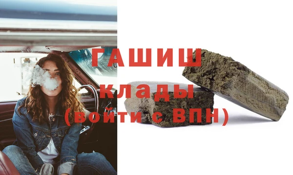 гашик Ладушкин