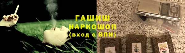 гашик Ладушкин