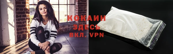 гашик Ладушкин