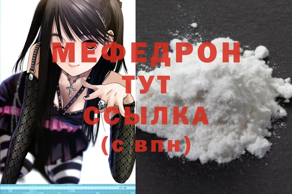 мдпв Лагань