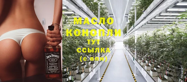 гашик Ладушкин