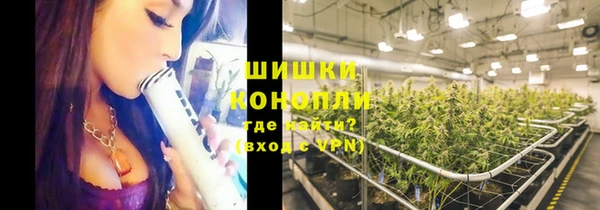 мдпв Лагань