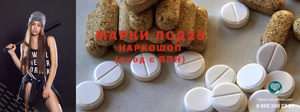 мдпв Лагань