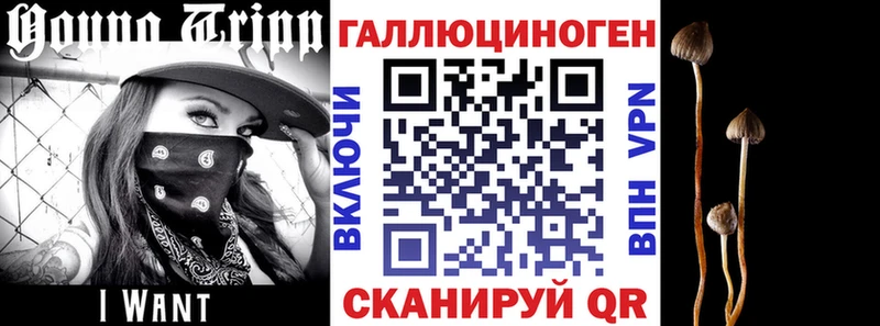даркнет Telegram  закладки  Приморск  Псилоцибиновые грибы Magic Shrooms 