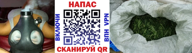 Бошки марихуана гибрид  где купить   Приморск 