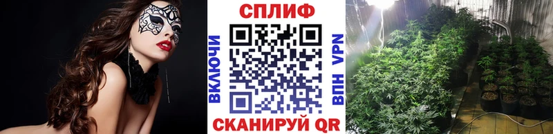 Бошки марихуана планчик Приморск